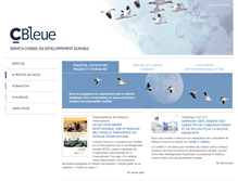 Tablet Screenshot of cbleue.com